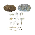 Owl Pellets Kit MW-16042_c5edbfc5-6951-4137-8c46-b1c46871e6fc