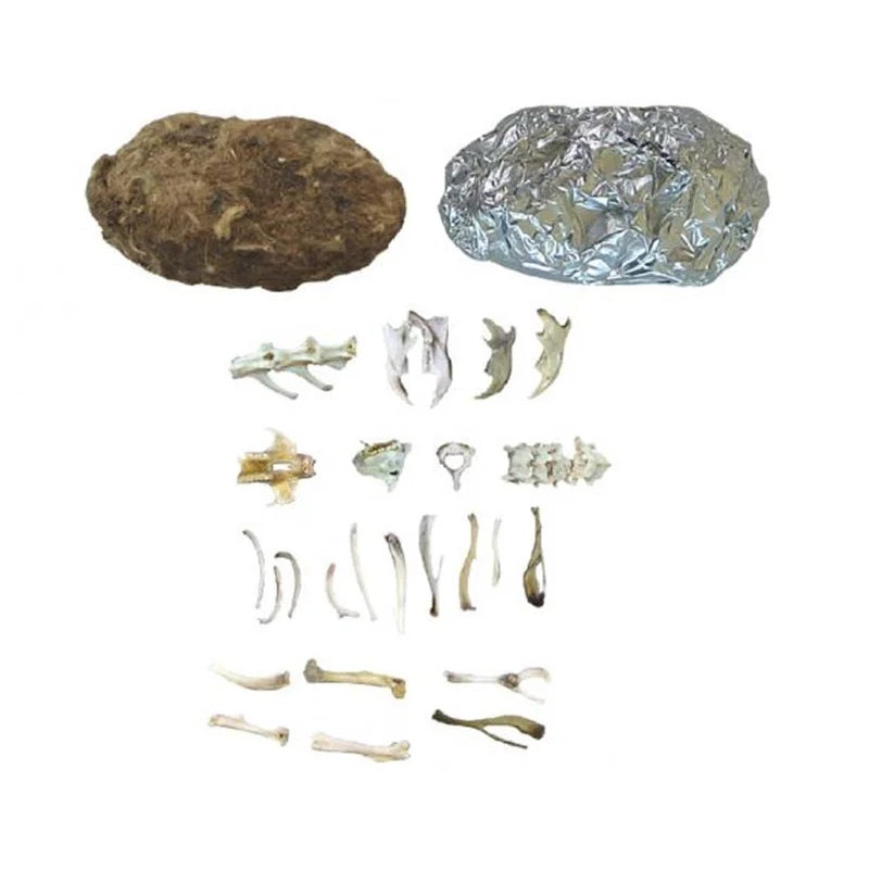 Owl Pellets Kit MW-16042_c5edbfc5-6951-4137-8c46-b1c46871e6fc
