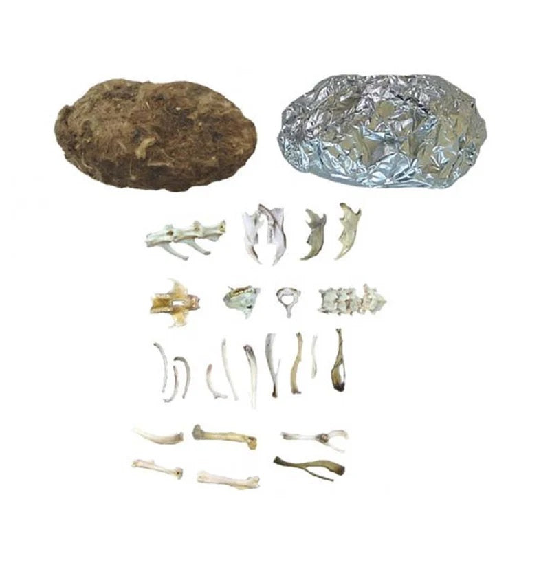 Owl Pellets Kit MW-16042_c5edbfc5-6951-4137-8c46-b1c46871e6fc