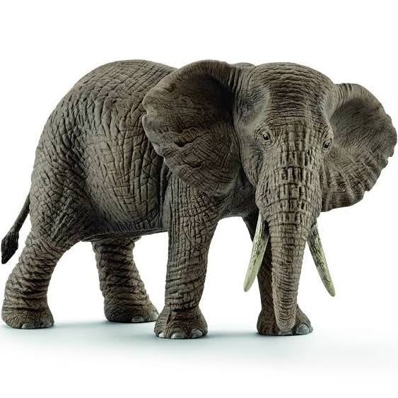 Schleich African Elephant Female MW-16446_43829a1c-2a79-40b8-99ad-9e024332a5b6