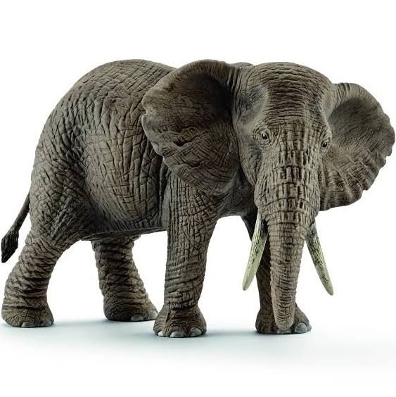 Schleich African Elephant Female MW-16446_43829a1c-2a79-40b8-99ad-9e024332a5b6