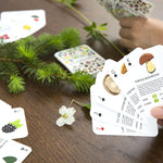 Foragers Playing Cards MW-17083_1