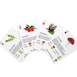 Foragers Playing Cards MW-17083_2