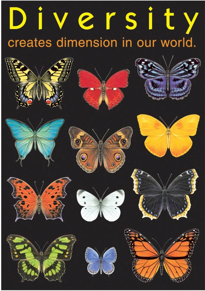 Poster Diversity Classroom Poster MW-17509_1576ea8b-03a2-47f8-b79f-c640328724c5