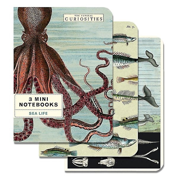 Sealife Mini Journals MW-17740