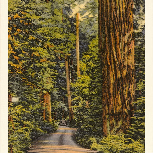 Postcard Olympics MW-17751