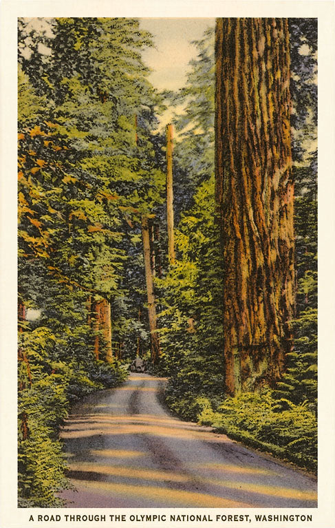 Postcard Olympics MW-17751