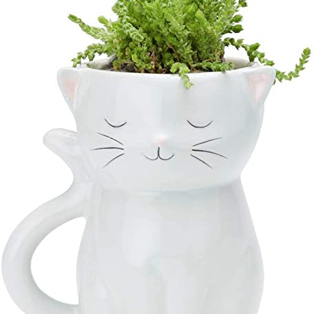 Cat Planter MW-17937_c35ce529-cadd-432b-8ce8-448eeed23dce