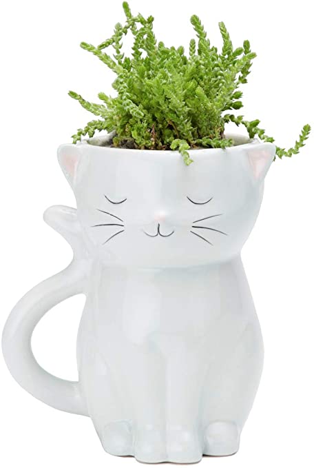 Cat Planter MW-17937_c35ce529-cadd-432b-8ce8-448eeed23dce