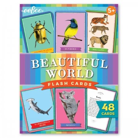 Flashcards: Beautiful World (Flbuw) MW-18432