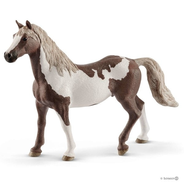 Paint Horse Gelding 80 MW-18446
