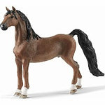 American Saddlebred Gelding MW-18449