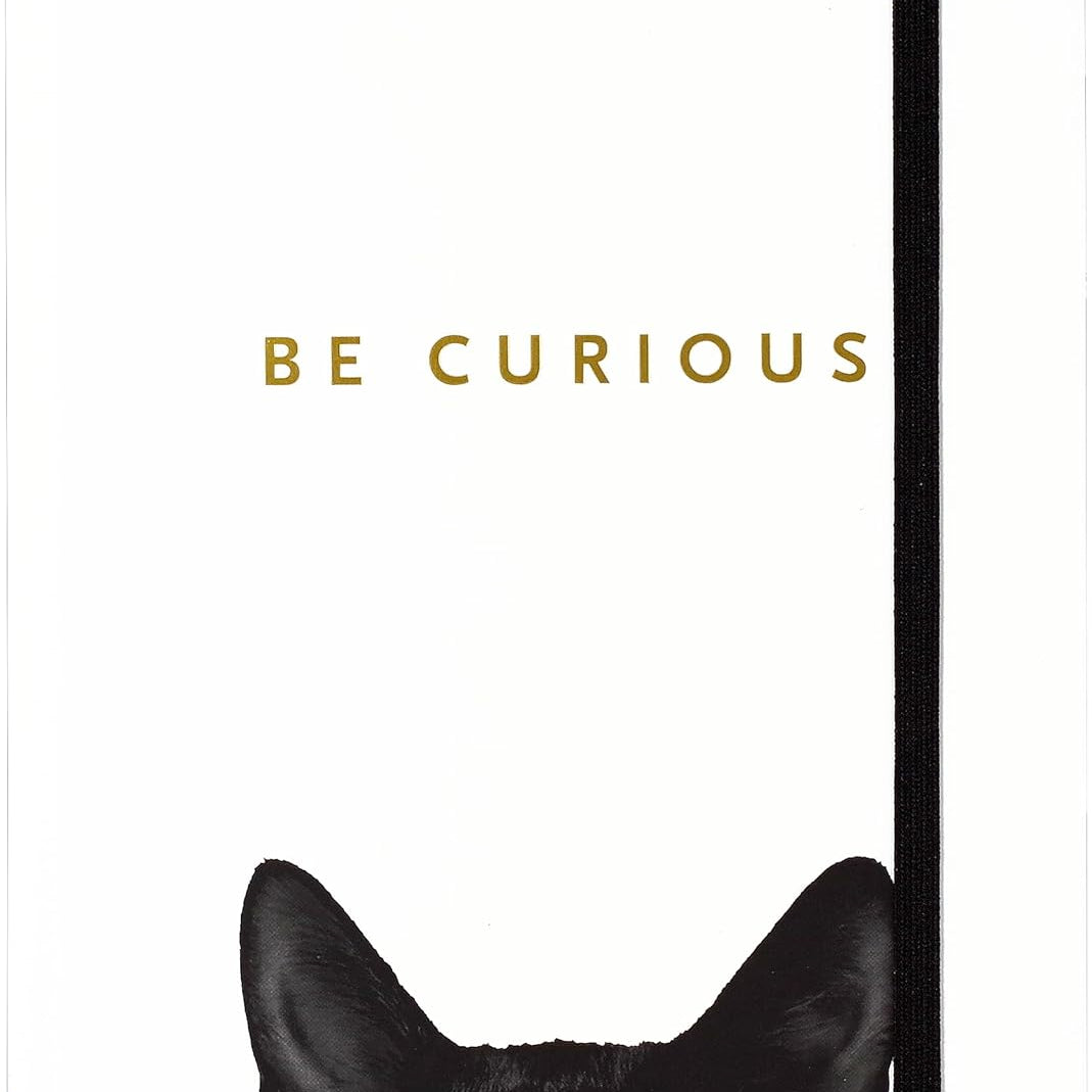 Be Curious Cat Journal MW-18599