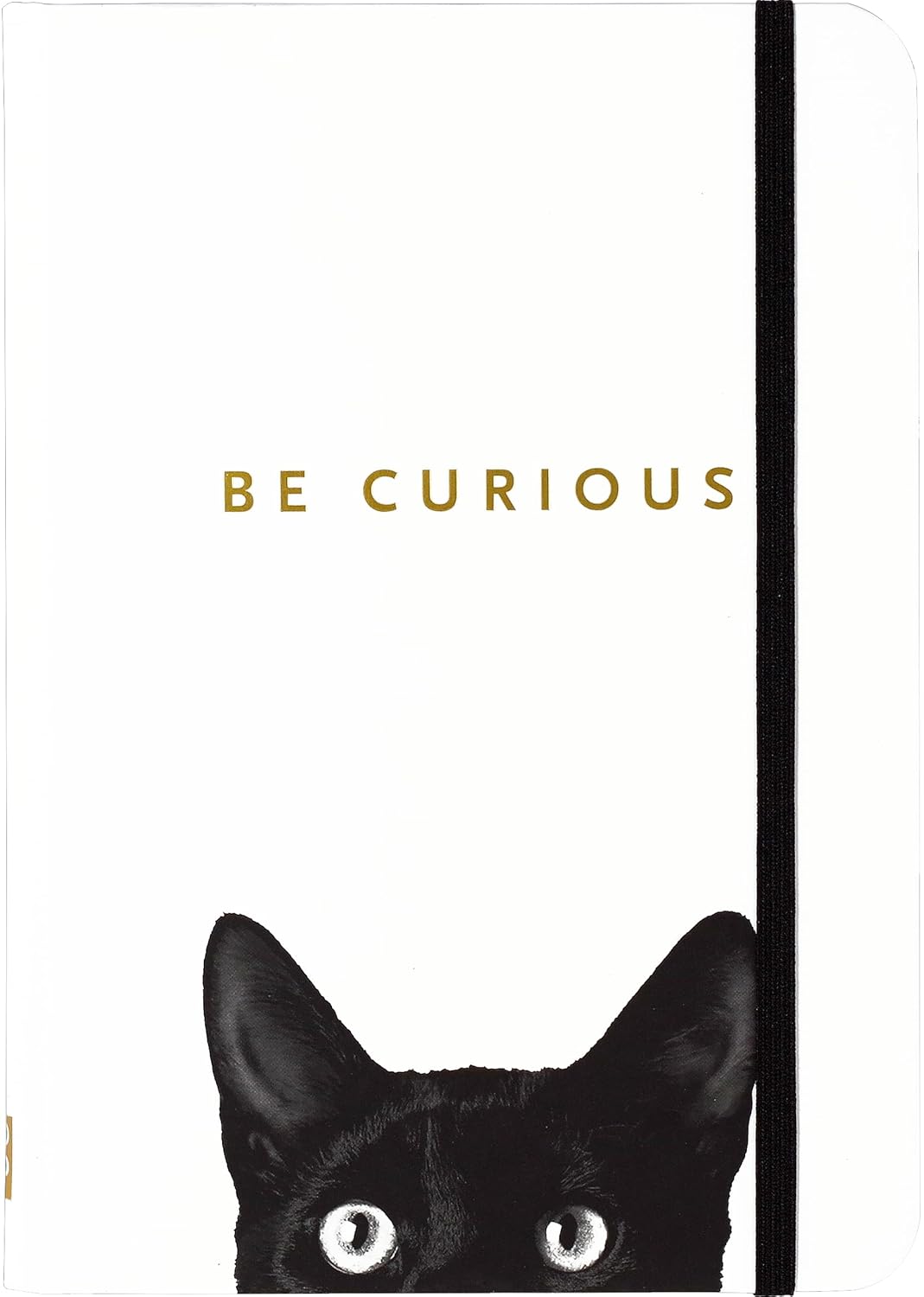 Be Curious Cat Journal MW-18599