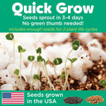 Grow Glow Terrarium Kit MW-18858_4