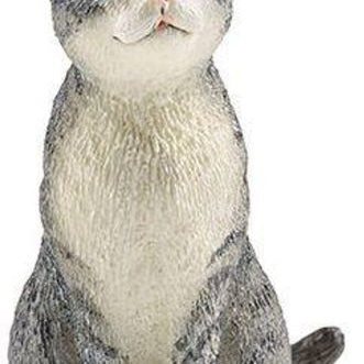 Cat Sitting Grey MW-18876