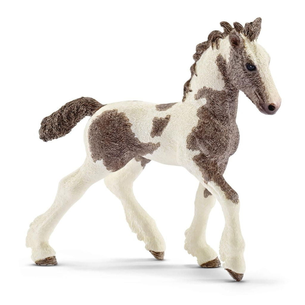Tinker Foal MW-18879