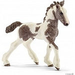Tinker Foal MW-18879_b444098c-82d8-4b1e-94cc-421c23e05f9d