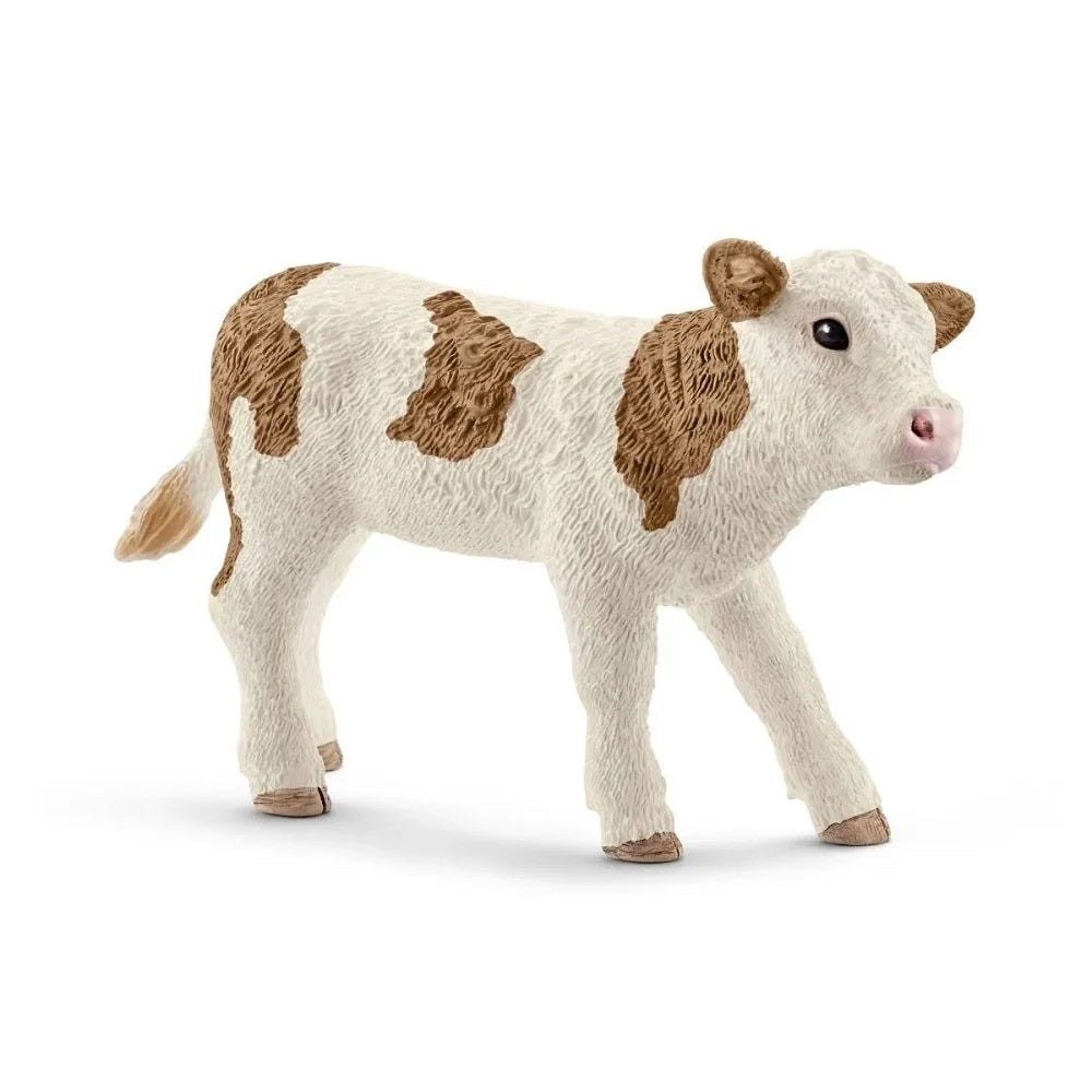 Simmental Calf MW-18882