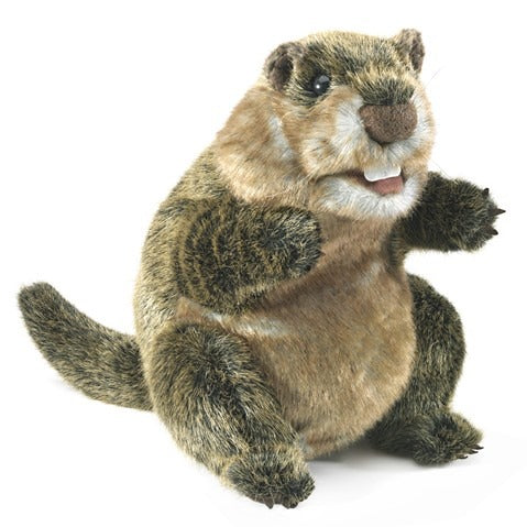 Groundhog MW-19241