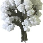 Crystal Growing: Seasons Kit MW-19274_5