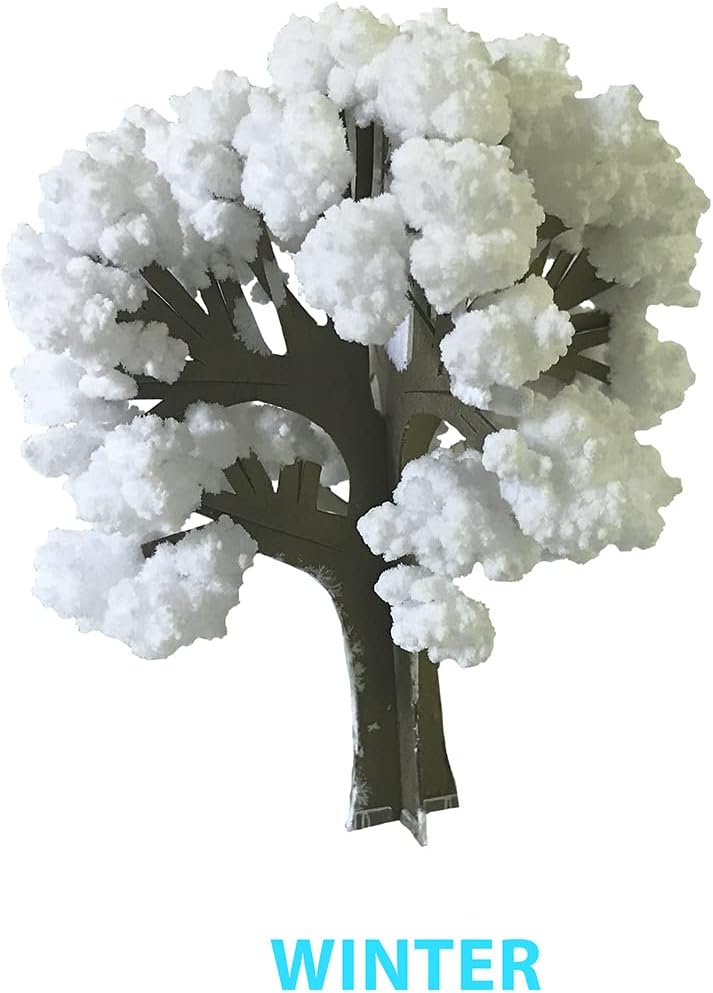 Crystal Growing: Seasons Kit MW-19274_5