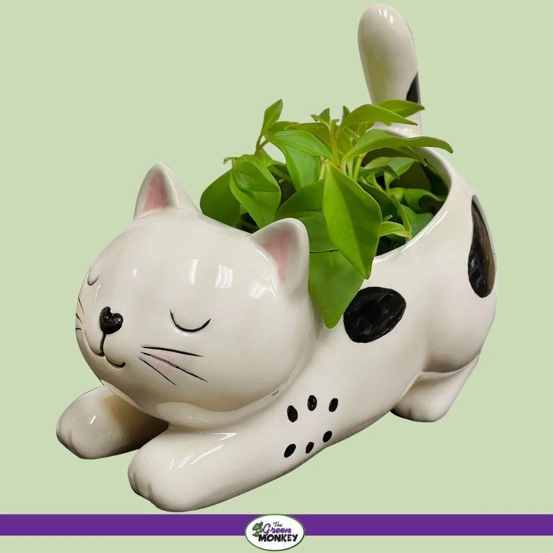 Kitty Planter MW-19607