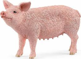 Pig MW-19617