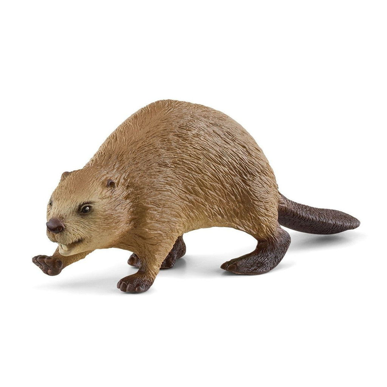 Beaver MW-19622_71339d34-de71-4610-b401-f05dda1f0cd0
