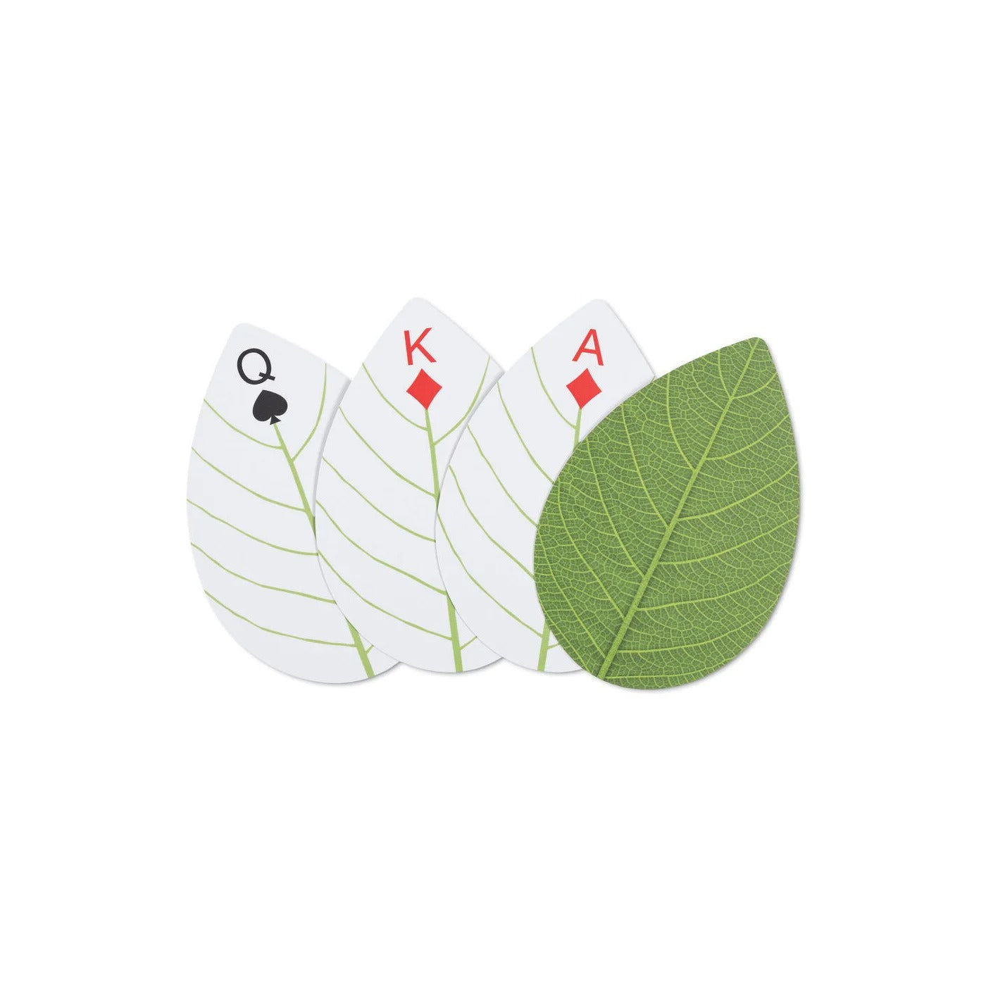 Huckleberry Leaf Cards MW-19716