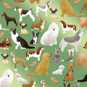 Jillson & Roberts Wrapping Paper, Best In Show (Green) - Set Of 2 MW-19818