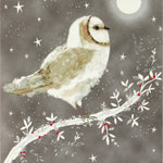 Starry Owl Holiday Cards MW-19928_e46b8213-2c04-4095-bab7-fbf11827e9ec