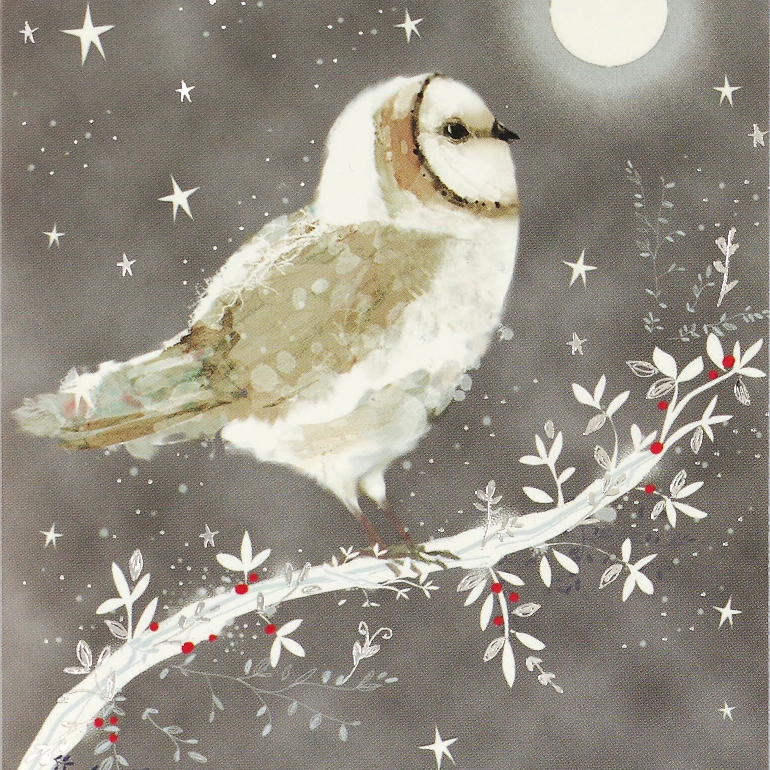 Starry Owl Holiday Cards MW-19928_e46b8213-2c04-4095-bab7-fbf11827e9ec