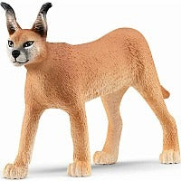 Caracal Female MW-20401_3579adf8-1604-4e83-b7b4-876974ef6e29