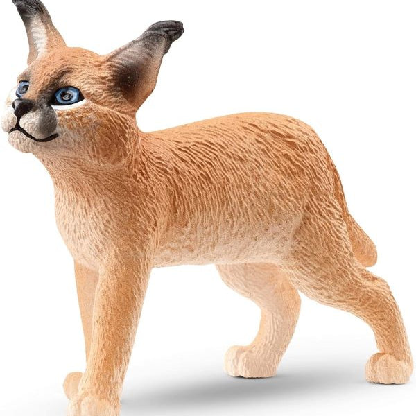 Caracal Cub MW-20402