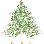Holiday Boxe Cards Tree MW-20734
