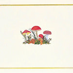 Mushroom Boxed Note Cards MW-20751_2a803a07-1169-4ea4-acf8-72cc8068870f