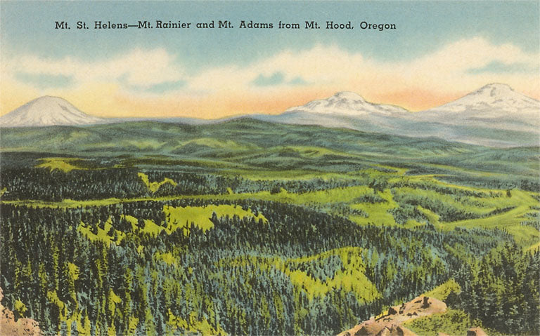 Postcard Rainier Adams St Hele MW-20850