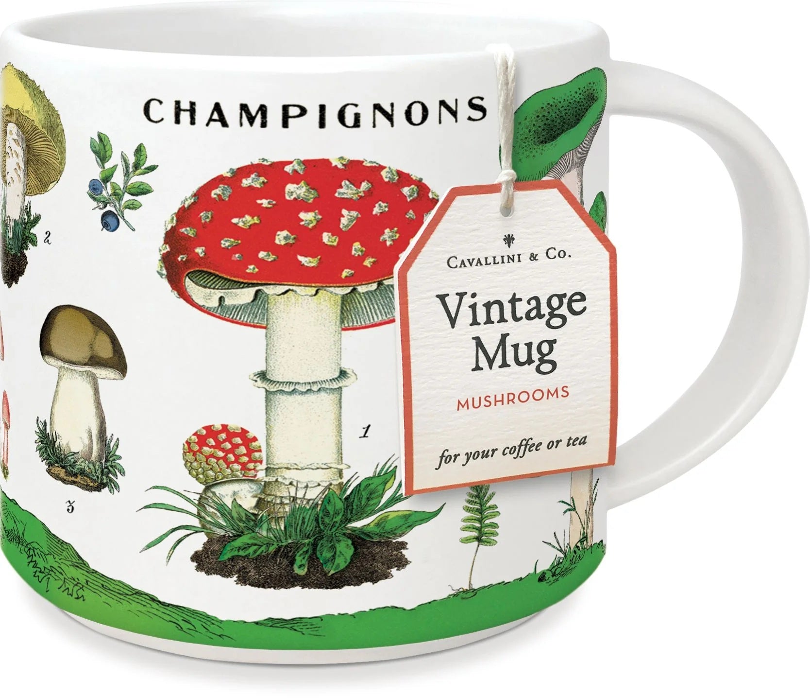 Mushroom Mug MW-20882
