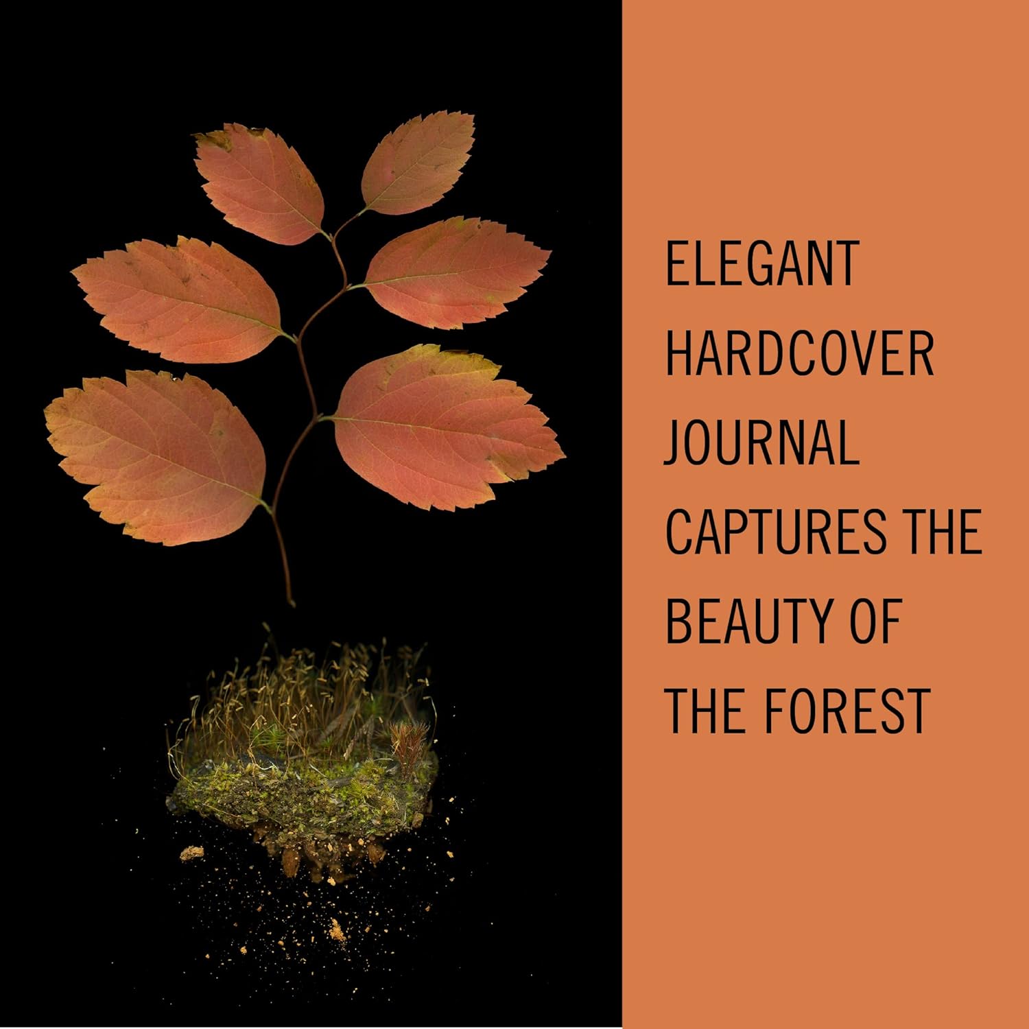 Deep Dark Forest Journal MW-20981