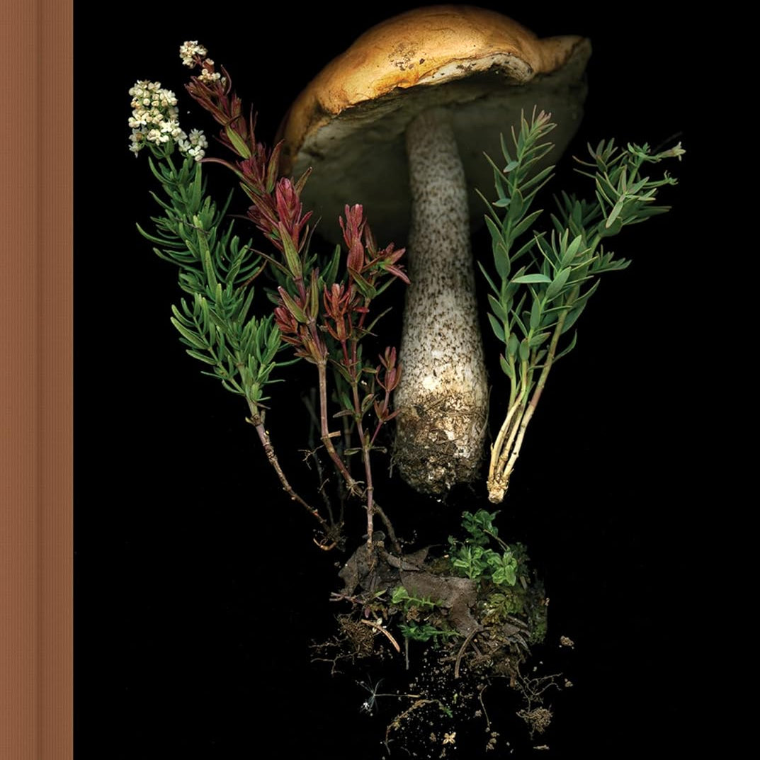 Deep Dark Forest Journal MW-20981_54115bdd-0ae4-4dc3-b117-d95e59489688