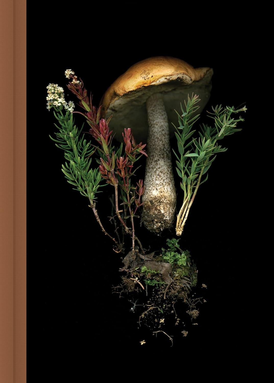 Deep Dark Forest Journal MW-20981_54115bdd-0ae4-4dc3-b117-d95e59489688