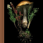 Deep Dark Forest Journal MW-20981_54115bdd-0ae4-4dc3-b117-d95e59489688