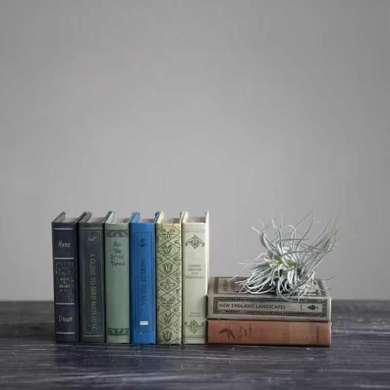 Canvas Book Storage Box MW-20995