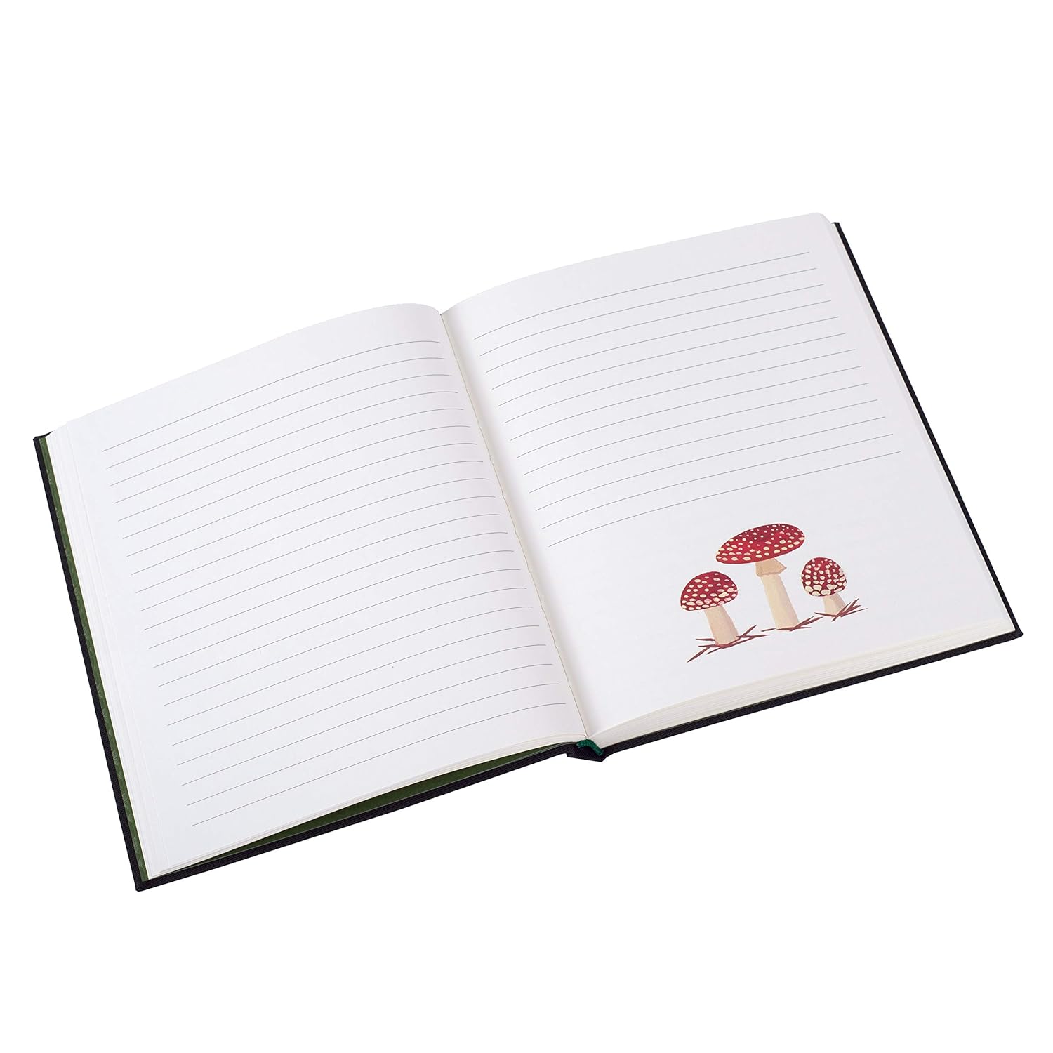 Woodland Journal MW-21128_1