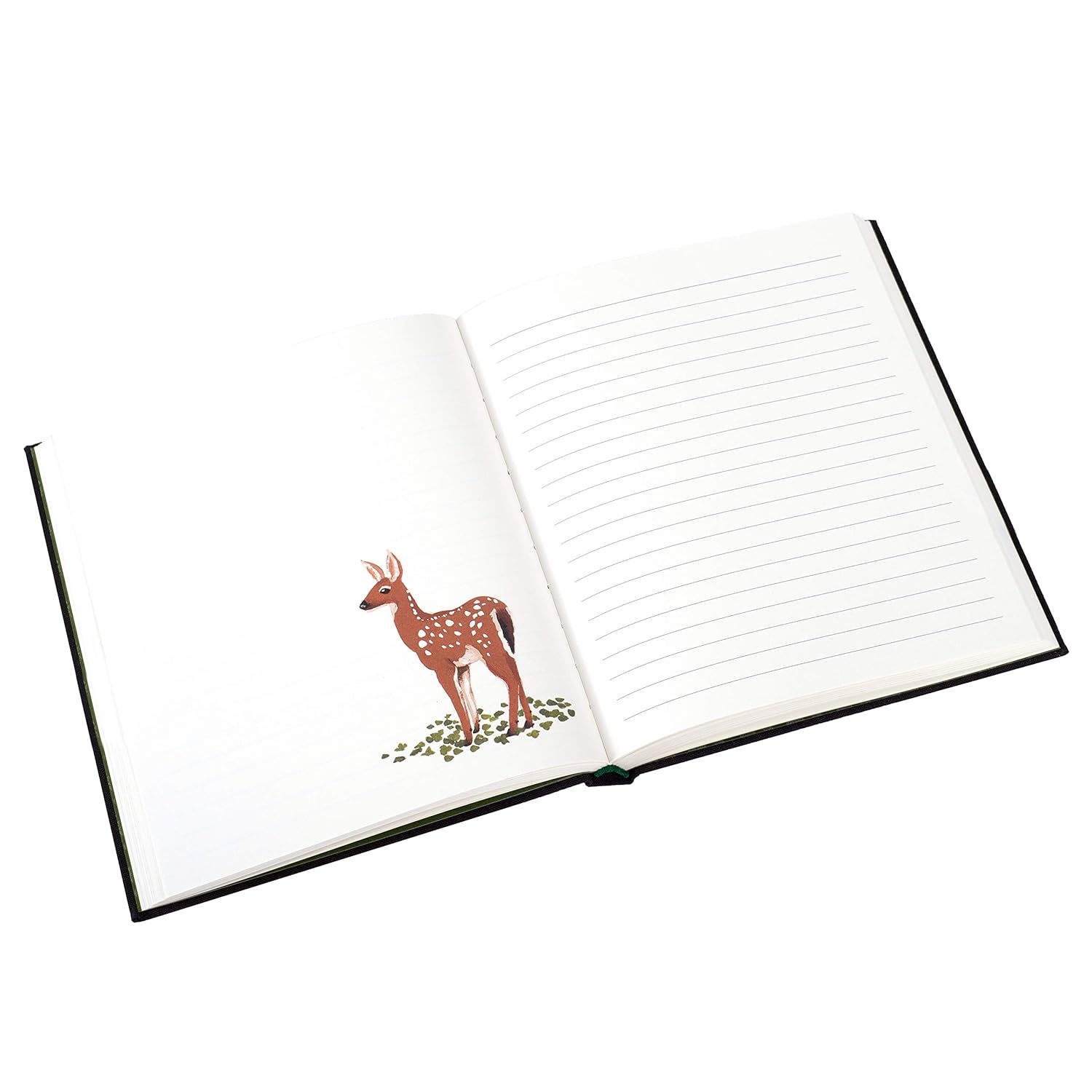 Woodland Journal MW-21128_2