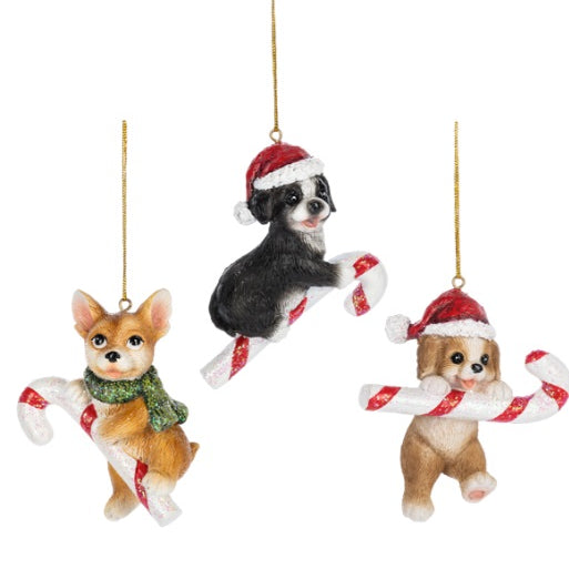Candy Cane Dog Ornament MW-21286