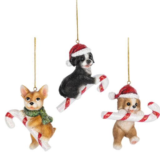 Candy Cane Dog Ornament MW-21286