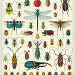 Bugs And Insects 1000 Puzzle MW-21399_1