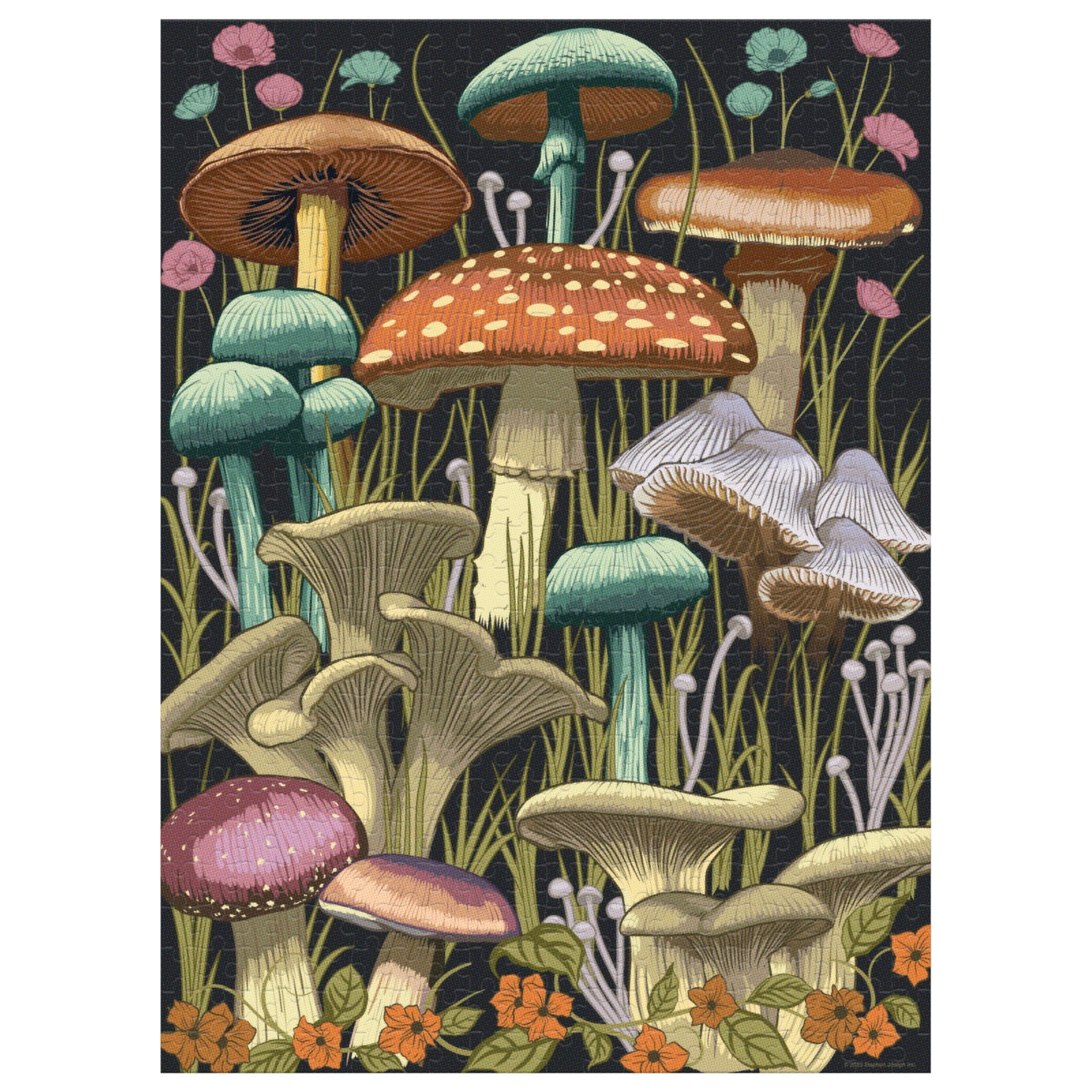 Midnight Mushroom 500 Pc Puzzl MW-21426